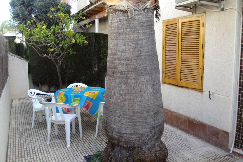 La Casa De La Palmera Apartman Torrevieja Kültér fotó
