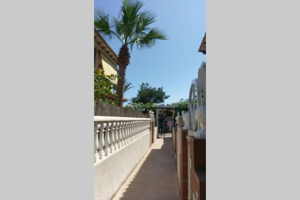 La Casa De La Palmera Apartman Torrevieja Kültér fotó